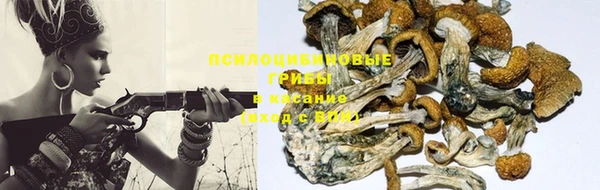 PSILOCYBIN Абинск
