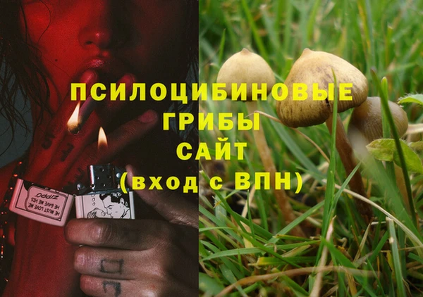 дмт Абдулино