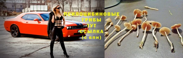 дмт Абдулино