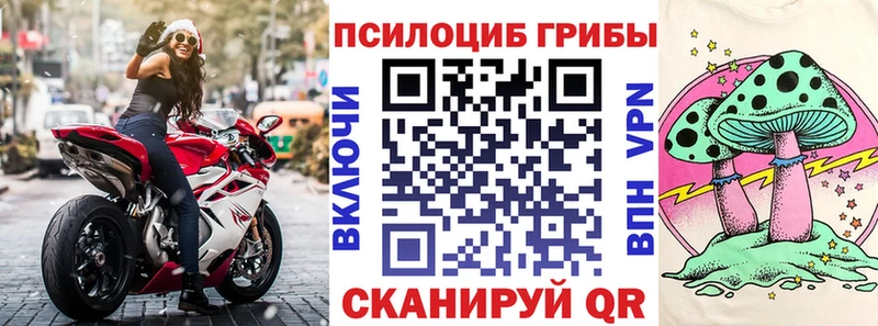 хочу   Зерноград  Галлюциногенные грибы Psilocybine cubensis 
