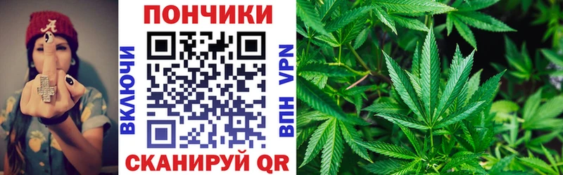 где купить наркоту  Зерноград  кракен зеркало  Канабис тримм 